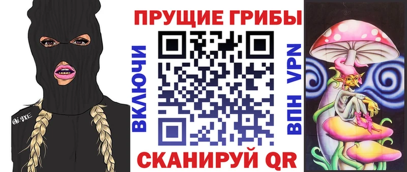 Псилоцибиновые грибы Psilocybe Заволжск